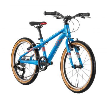 Bicicleta Copii Raymon TwoRay 3.0 - 20 Inch, 270 mm, Albastru